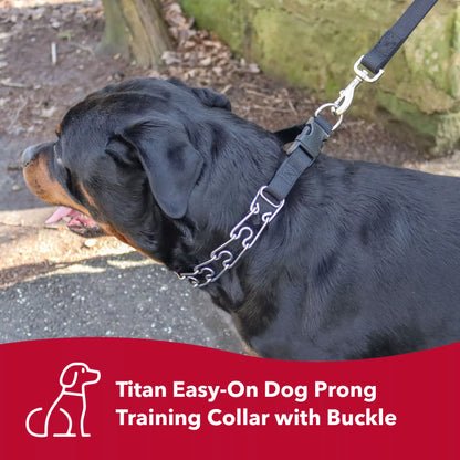 Titan Easy-On Dog Prong Training Collar with Buckle