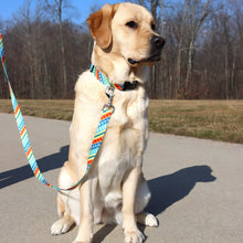 Load image into Gallery viewer, Coastal Leader Dogs for the Blind Styles Dog Leash
