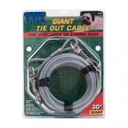 Titan Giant Cable Dog Tie Out 30'