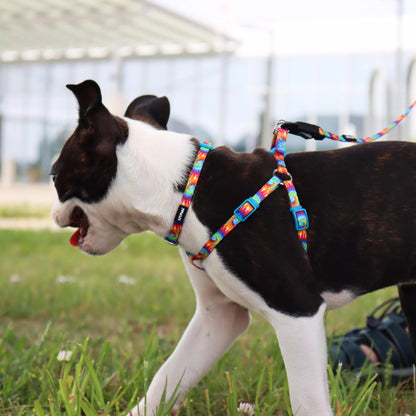 Li'l Pals Adjustable Patterned Dog Collar, Teal & Grey Diamonds