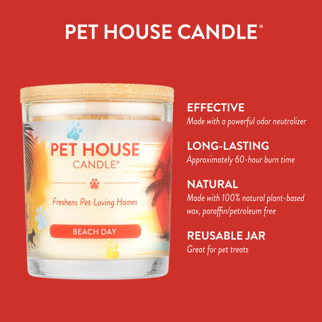 Beach Day 9 oz Candle for pet-loving homes