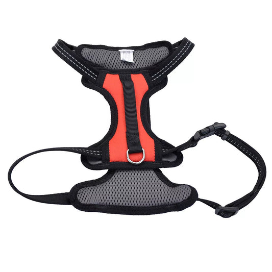 Coastal Reflective Control Handle Harness Red