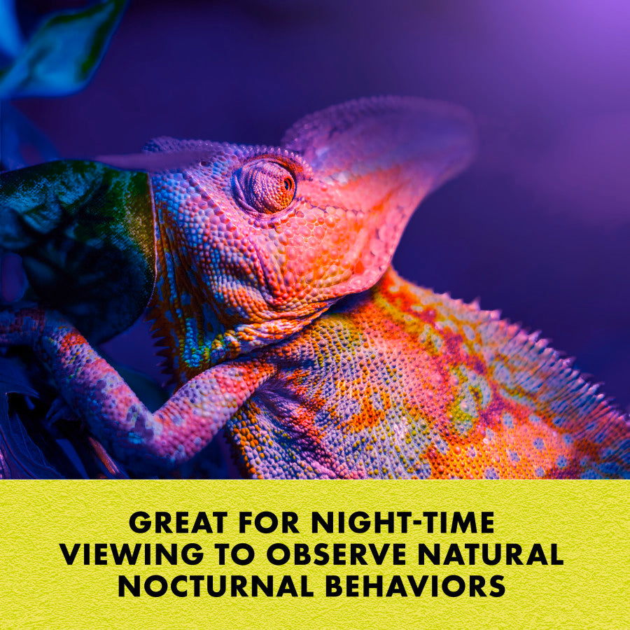 Zilla Night Black Heat Incandescent Spot Bulb