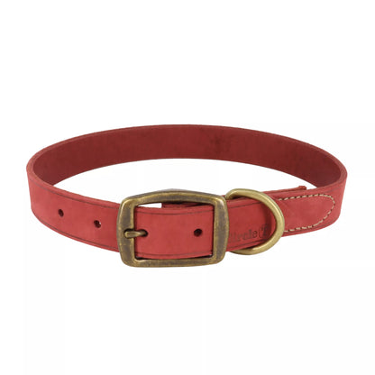 Circle T Rustic Leather Town Dog Collar, Brick Red