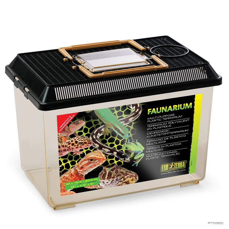 Exo Terra Faunarium Terrarium, Medium