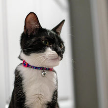 Load image into Gallery viewer, Li&#39;l Pals Adjustable Breakaway Kitten Collar, Daisy Multi-Color
