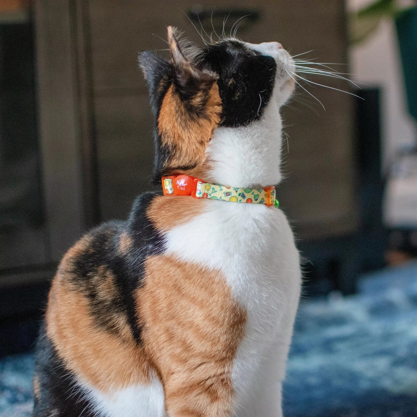 Safe Cat Fashion Adjustable Breakaway Collar, Tiger