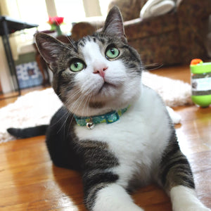Safe Cat Adjustable Breakaway Cat Collar with Magnetic Buckle, Grey & Silver Arrows