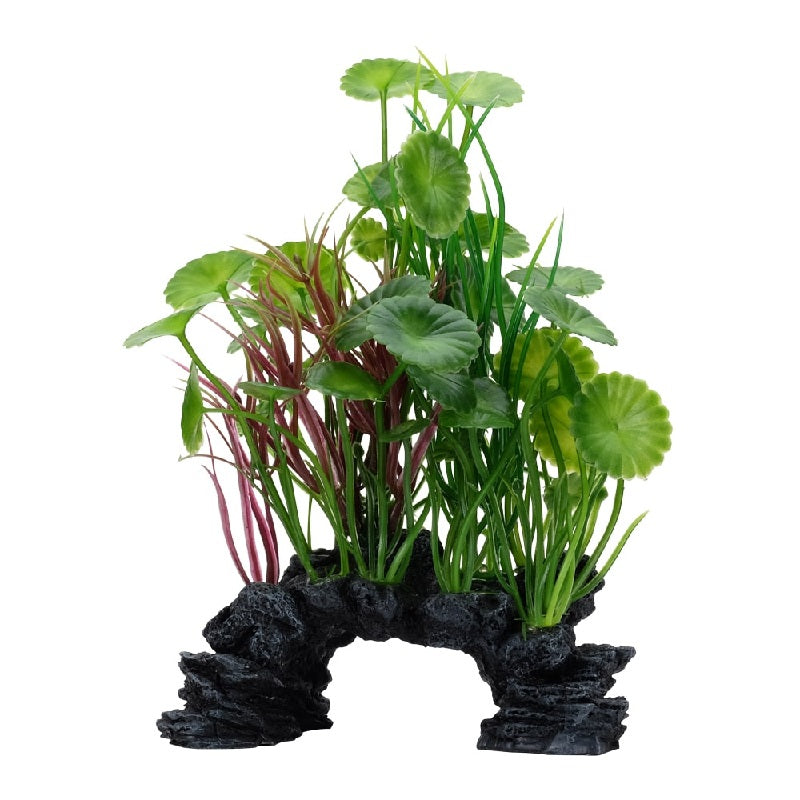 Fluval Aqualife Green Lysimachia Mix, 8"