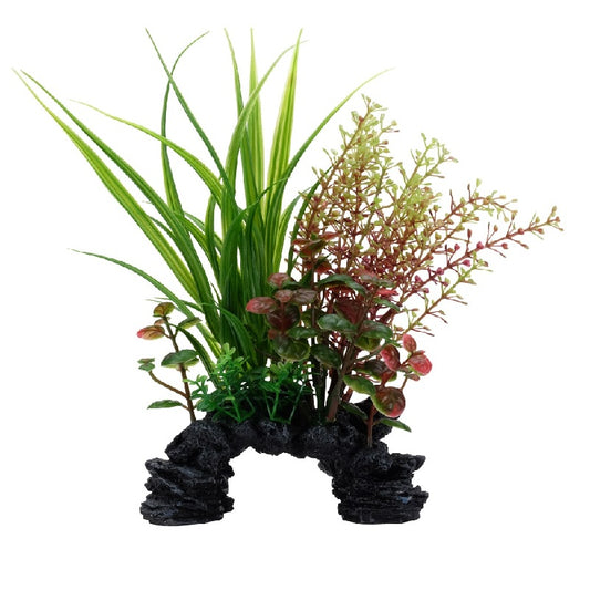 Fluval Aqualife Sagittarius/Rotala Mix Aquarium Plant, 6-8"