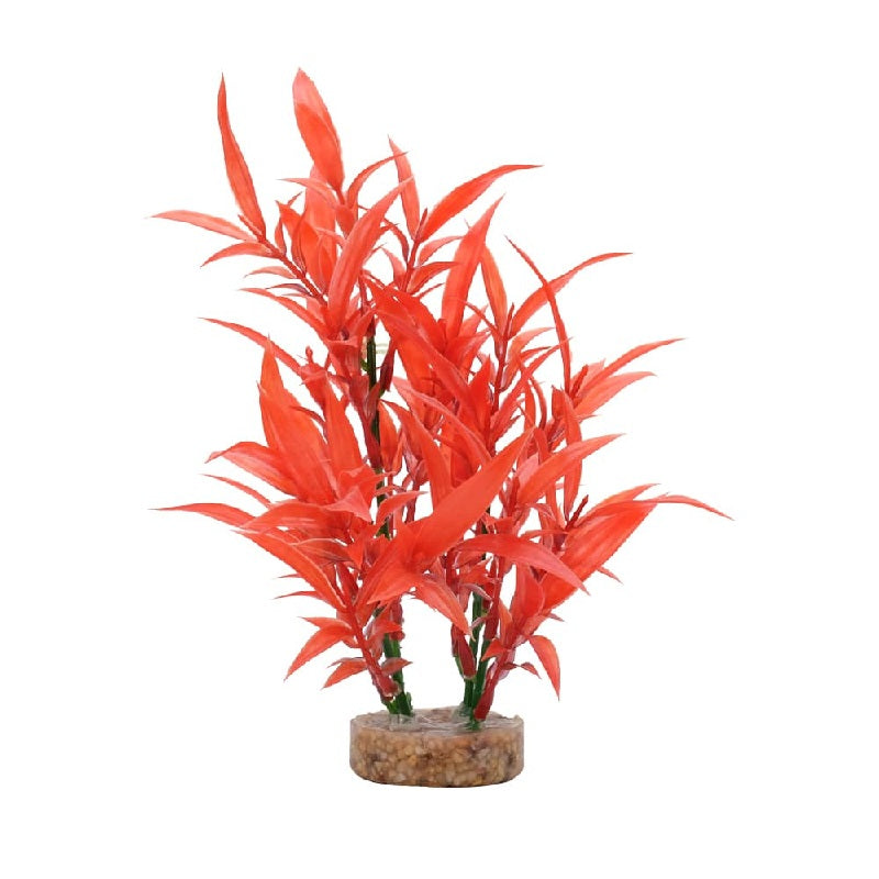 Fluval Aqualife Intense Red Hygrophila Aquarium Plant, 8"