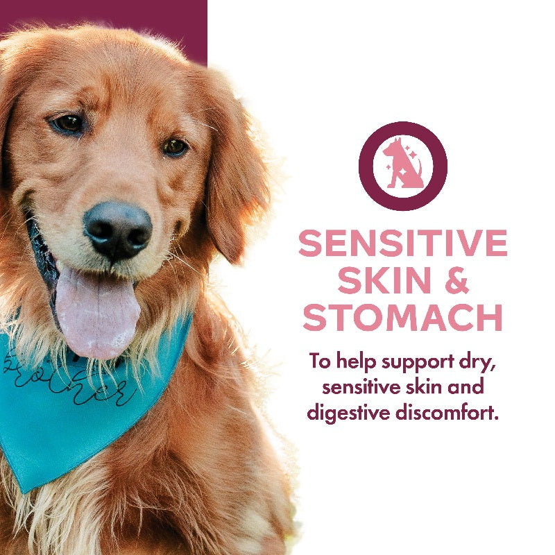 Fromm Nutritionals Sensitive Skin & Stomach Supplement Pâté Canned Dog Food