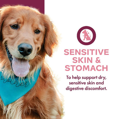 Fromm Nutritionals Sensitive Skin & Stomach Supplement Pâté Canned Dog Food