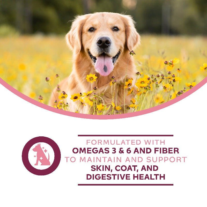 Fromm Nutritionals Sensitive Skin & Stomach Supplement Pâté Canned Dog Food