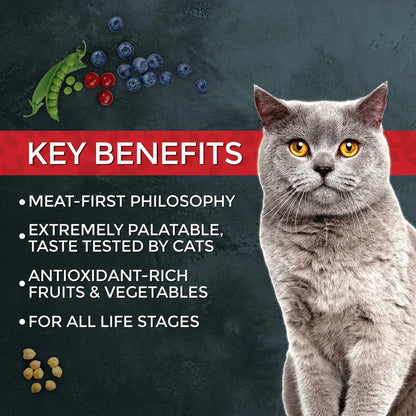 Fussie Cat Market Fresh Chicken & Turkey Recipe Dry Cat Food