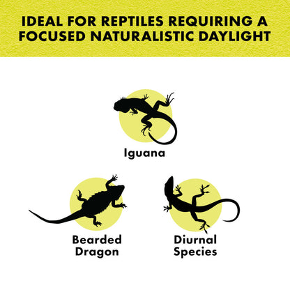 Zilla Day White Light Incandescent Spot Bulb