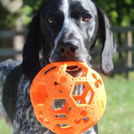 Tall Tails Goat Sport Flex-A-Ball Dog Toy