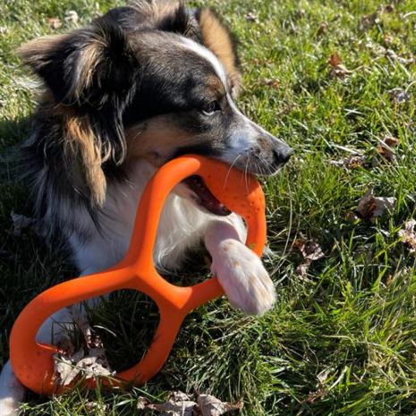 Tall Tails Goat Natural Rubber Tug Dog Toy