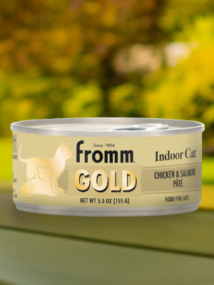 Fromm Gold Indoor Cat Chicken & Salmon Pate Canned Cat Food