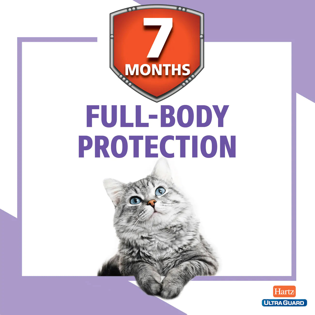 Hartz UltraGuard Plus Flea & Tick Collar for Cats, 1 Collar