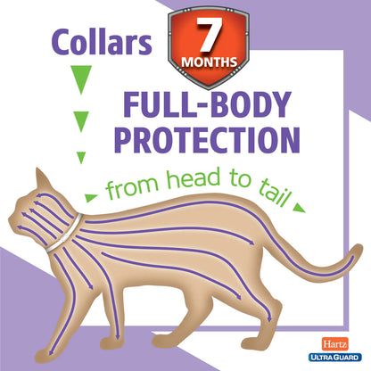 Hartz UltraGuard Plus Flea & Tick Collar for Cats, 1 Collar