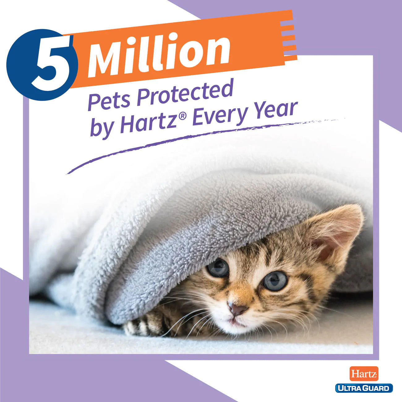 Hartz UltraGuard Plus Flea & Tick Collar for Cats, 1 Collar