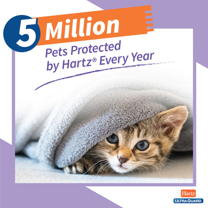 Hartz UltraGuard Plus Flea & Tick Collar for Cats, 1 Collar