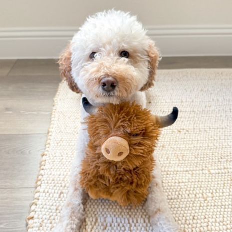 Tall Tails Highland Cow W/ Squeaker Dog Toy