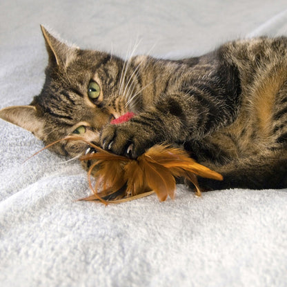 KONG Naturals Crinkle Ball w/ Feathers Cat Toy, 2 Pack
