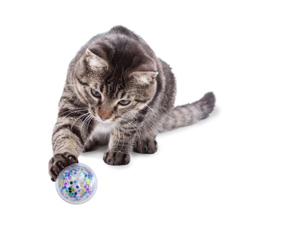 KONG Active Confetti Ball Cat Toy