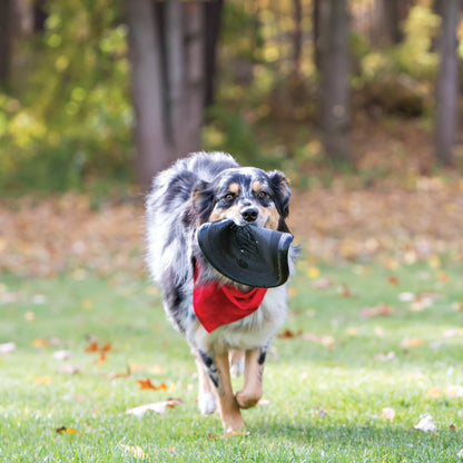 KONG Extreme Flyer Dog Toy