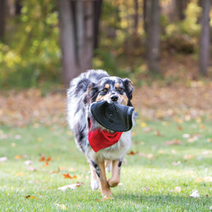 KONG Extreme Flyer Dog Toy