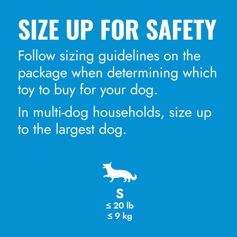 KONG Puppy Flyer, Small