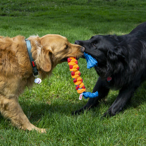 KONG Rope Rally Stick Dog Toy Medium