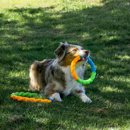 KONG Twistz High-Viz Ring Dog Toy Small
