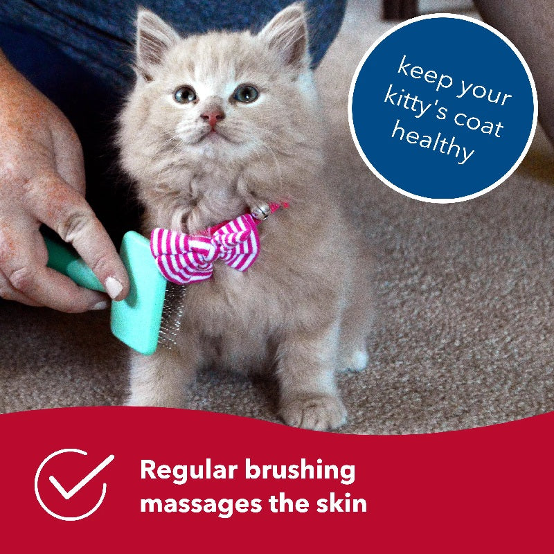 Li'l Pals Kitten Slicker Brush with Coated Tips