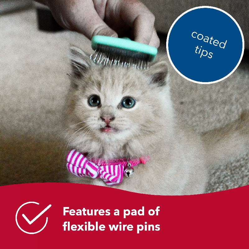 Li'l Pals Kitten Slicker Brush with Coated Tips
