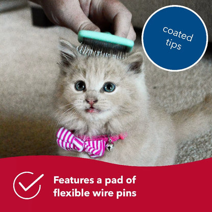 Li'l Pals Kitten Slicker Brush with Coated Tips