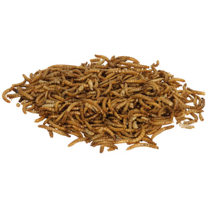 Reptile Munchies Mealworms 3.75 oz.