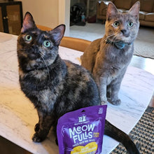 Load image into Gallery viewer, Stella &amp; Chewy&#39;s Meowfulls Chicken &amp; Chicken Liver Recipe Grain-Free Freeze-Dried Cat Treats 1.5 oz
