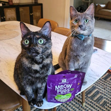 Load image into Gallery viewer, Stella &amp; Chewy&#39;s Meowfulls Turkey &amp; Duck Recipe Grain-Free Freeze-Dried Cat Treats 1.5 oz
