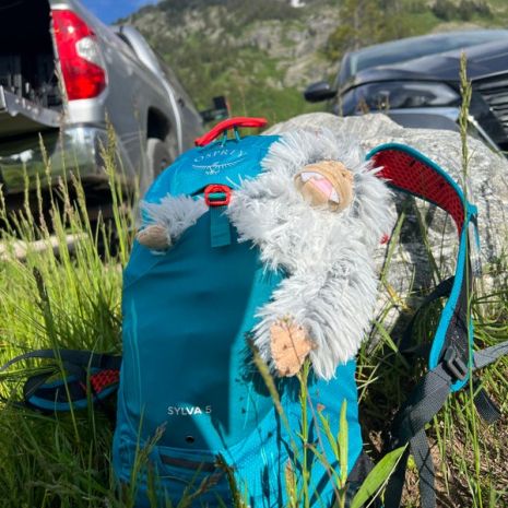 Tall Tails Mini Yeti with Squeaker Dog Toy