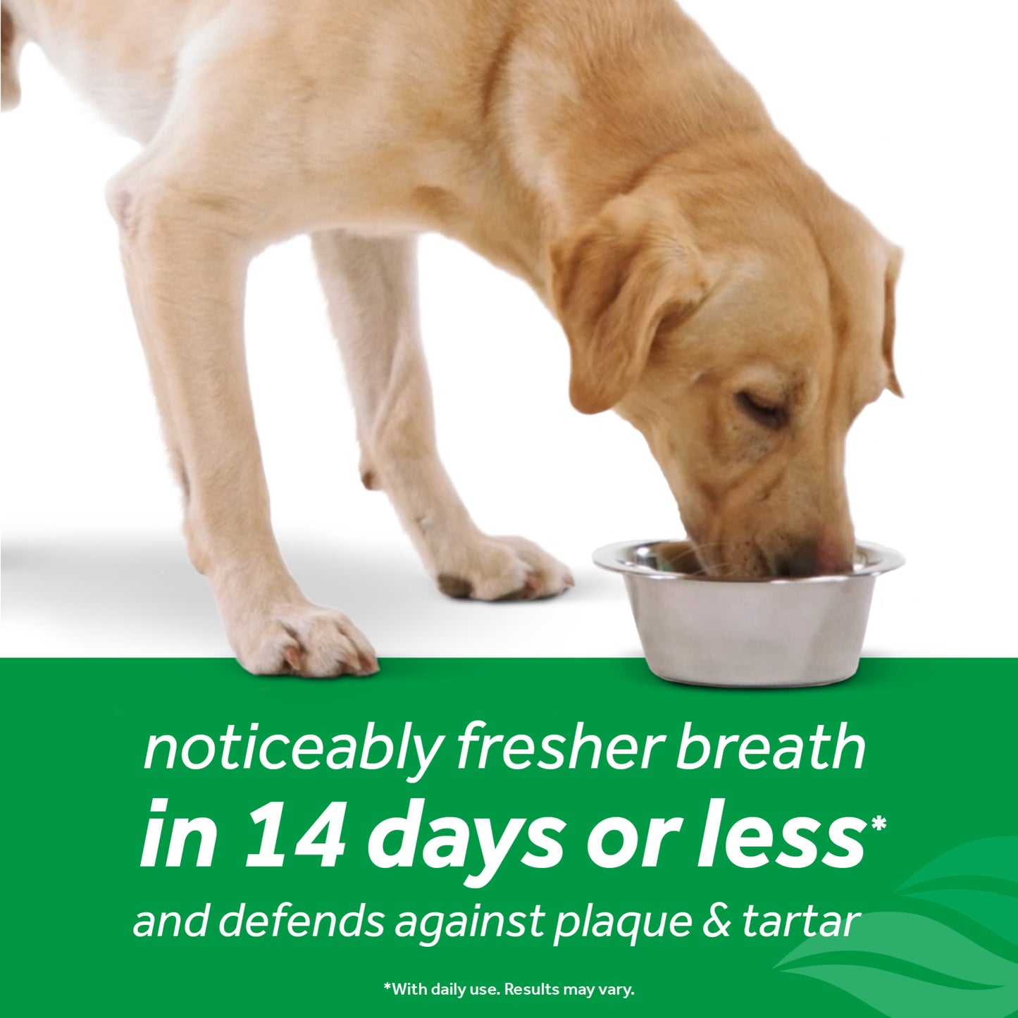 TropiClean Fresh Breath Dental Health Solution + Hip & Joint Support Dog Dental Water Additive