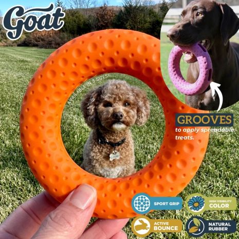 Tall Tails Sport Ring Dog Toy, Large