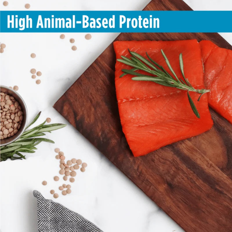 Nulo FreeStyle High-Protein Kibble Trim Salmon & Lentils Recipe Dry Cat Food