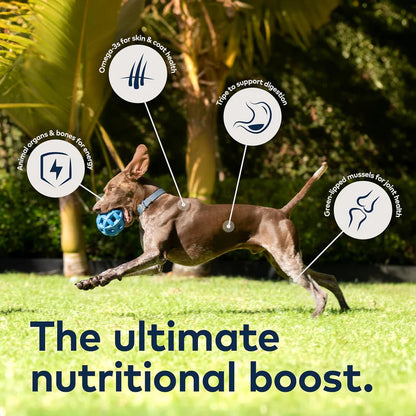 ZIWI Peak Lamb Grain-Free Air-Dried Dog Food, 2.2lb
