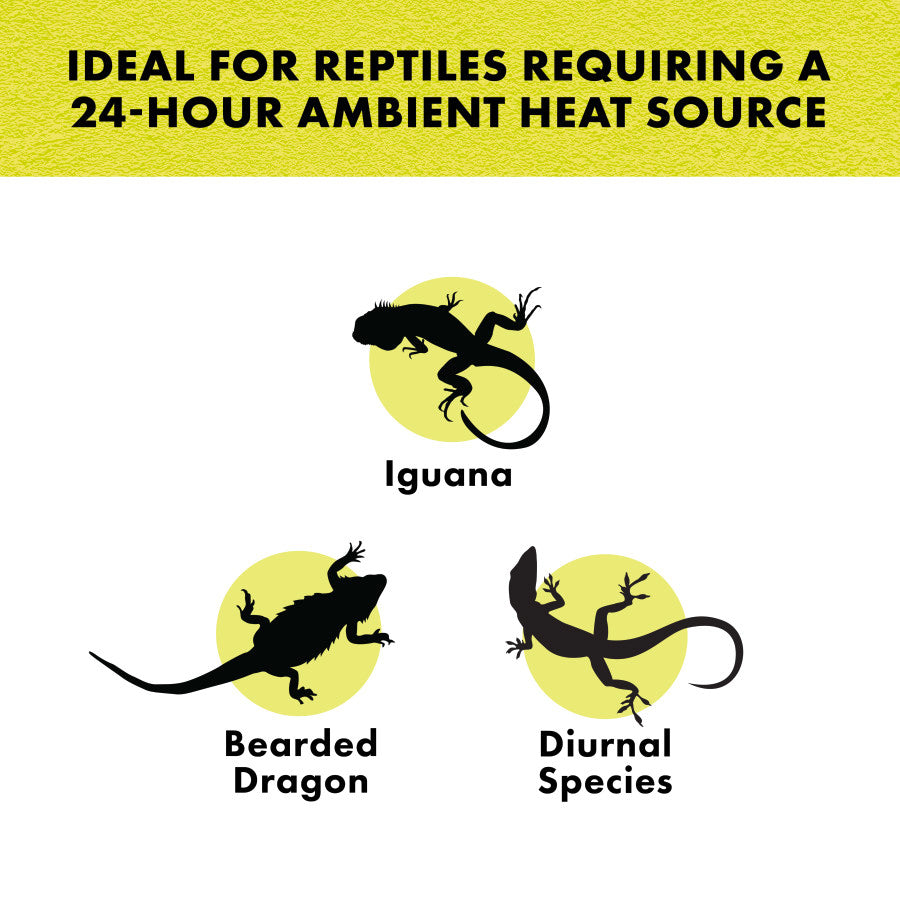 Zilla Night Black Heat Incandescent Spot Bulb