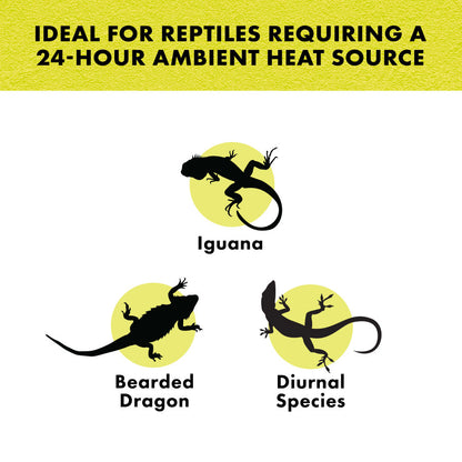 Zilla Night Black Heat Incandescent Spot Bulb