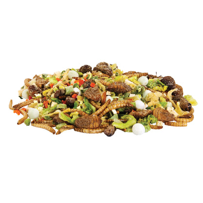 Zilla Reptile Munchies Omnivore Mix Lizard Food