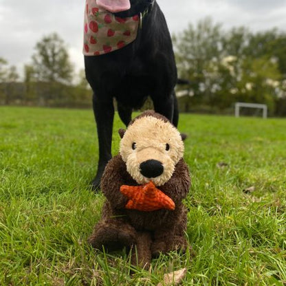 Tall Tails Otter Rope Body Dog Toy